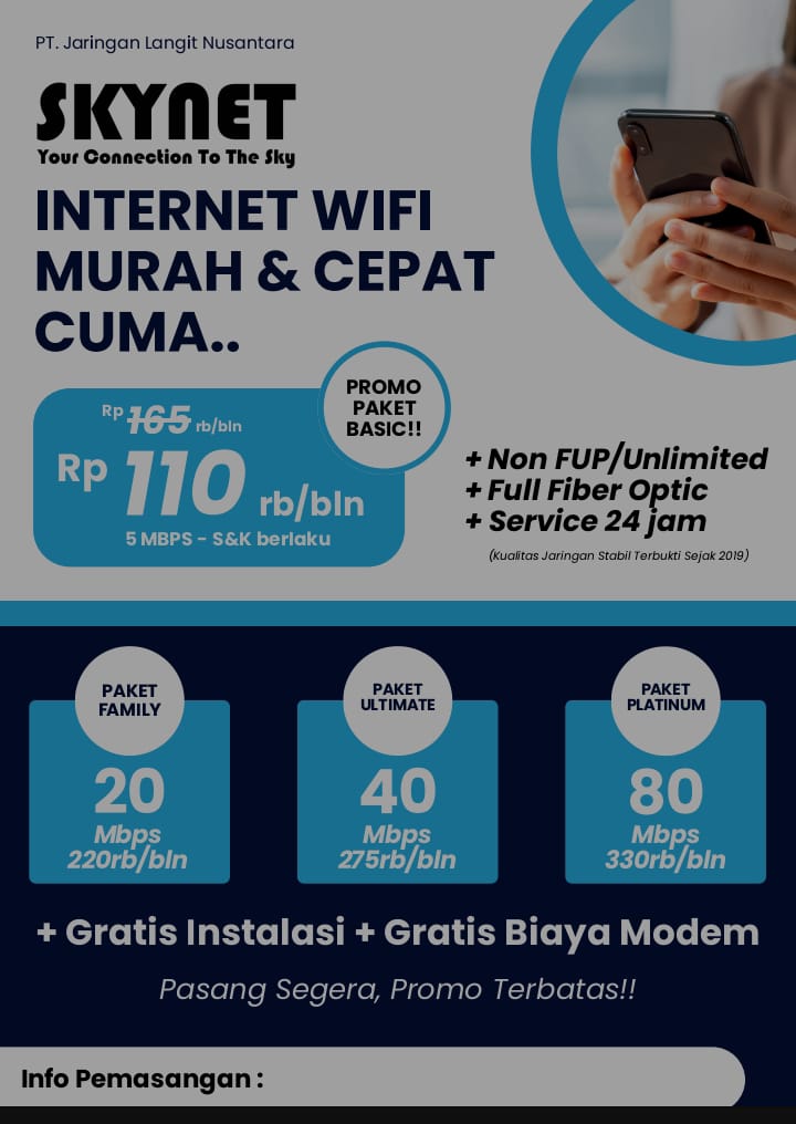 Internet Wifi Skynet